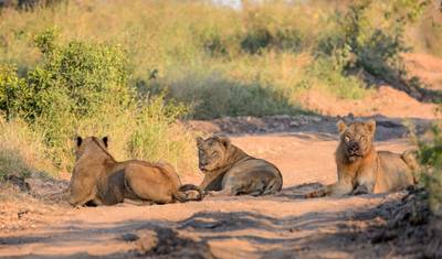 Cataratas, Matobo e Kruger - 7 dias — 4