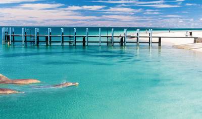 Monkey Mia Dolphins and West Coast — 5