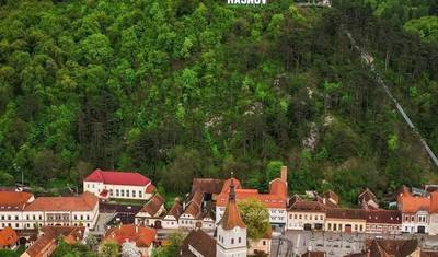 Excursão de um Dia ao Santuário de Ursos Pardos, Castelo de Bran e Fortaleza de Rasnov saindo de Brasov — 4