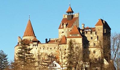 Excursão de um Dia ao Santuário de Ursos Pardos, Castelo de Bran e Fortaleza de Rasnov saindo de Brasov — 5