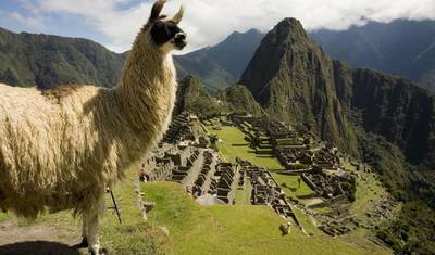 South to Jungle :. Cusco – Tambopata Amazon Jungle 8 days — 5