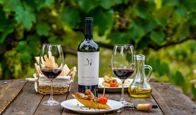 Customized 9 Days Private Uruguay Family Trip, No Strangers — 5