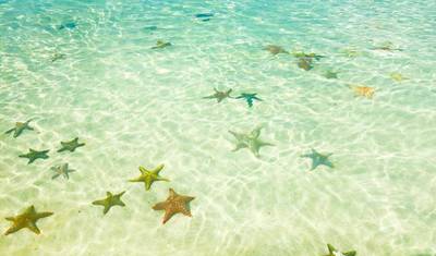 Discover Magic Zanzibar; Nungwi Beaches — 5