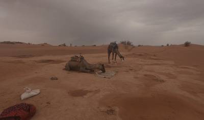 8 Days Camel Trekking Morocco Desert — 4