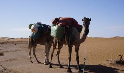 モロッコ砂漠ラクダトレッキング7日間 — 2