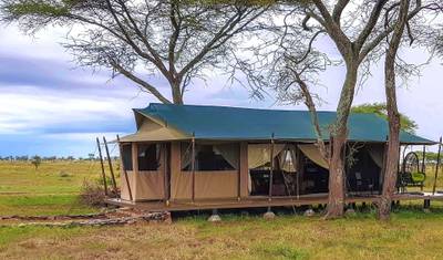 Safári de 4 Dias na Tanzânia - Arusha + Cratera de Ngorongoro + Serengeti — 5