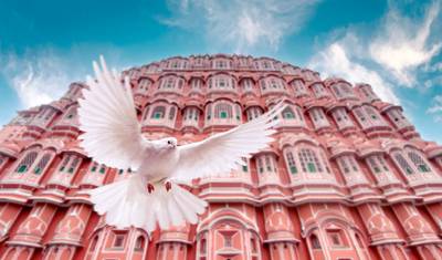 Tour Triângulo Dourado da Índia Mais Vendido com Todas as Refeições e Nascer do Sol no Taj Mahal!! — 2