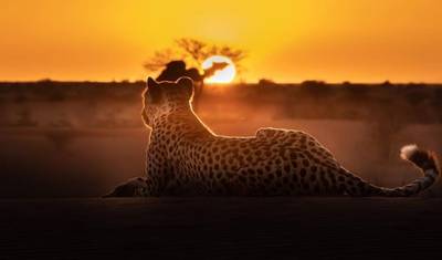 3 Dni - Arusha NP, Tarangire & Manyara — 5