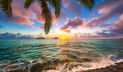 Grande Aventura Havaiana Quatro Ilhas com O'ahu, Big Island, Maui e Kauai (Honolulu, HI a Lihue, HI) (2026) — 3