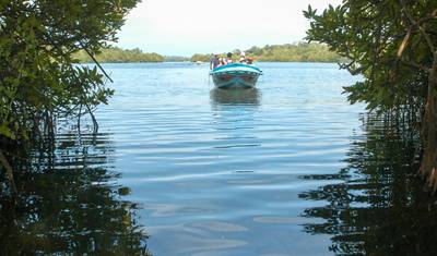Viagem de Lazer no Sri Lanka — 4