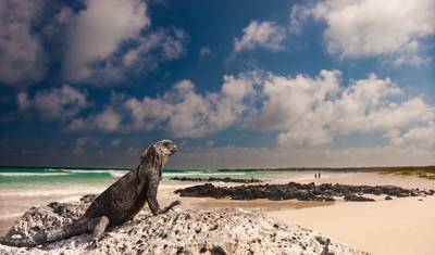 8 Days Galapagos Island Hopping in Santa Cruz and Isabela — 5
