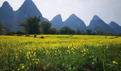 Explore Longji & Guilin by bullet train from Shenzhen 7D — 3