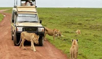Big Five Tanzania Camping Safari ( Tarangire, Serengeti National Park and Ngorongoro Conservation Area ) (all accommodation and transport are included) 5 Days — 3