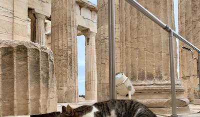 8-Day Complete Greece — 4