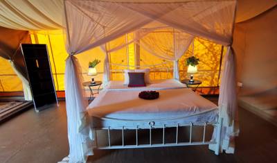 Simba Classic Adventure Safari **نهج مستدام للسفر — 5