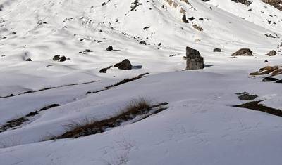 Annapurna Base Camp Trek- 4 Nights & 5 Nights — 3
