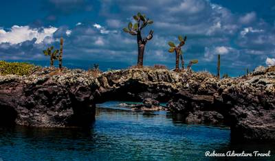 7-Day Galapagos Luxury Safari — 3