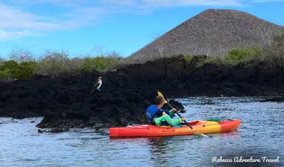 7-Day Galapagos Luxury Safari — 5