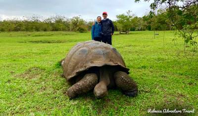 7-Day Galapagos Luxury Safari — 4