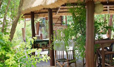 Prepare-se para Descobrir o Melhor Safari Privado Econômico de 5 Dias de Zanzibar para Selous, Mikumi e Udzungwa na Tanzânia — 3