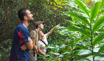 Diving Tour - Andasibe + Nosy Be — 2