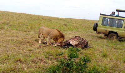 3 Dias e 2 Noites no Parque Nacional do Lago Nakuru — 2
