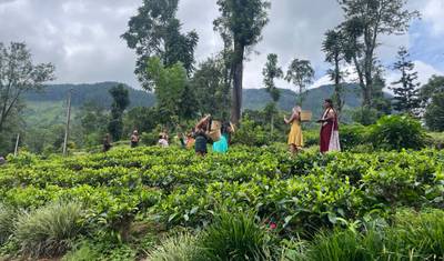 Explore The Top Destination in Sri Lanka With in 8 Days — 3