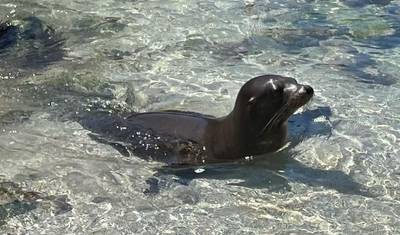 3 Days Galapagos Fast Visit — 3