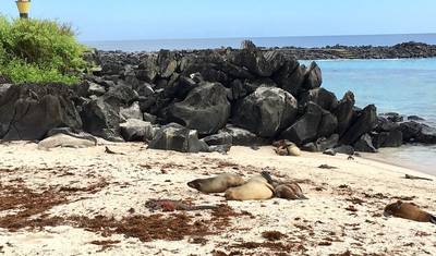 4 Days Galapagos Extreme — 2