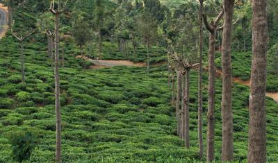 Best of Trekking (Private Tour) — 3