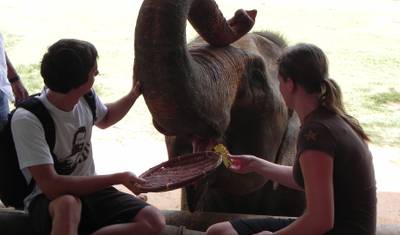 Highlights of Sri Lanka (Private Tour) — 4
