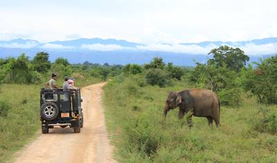 Highlights of Sri Lanka (Private Tour) — 2