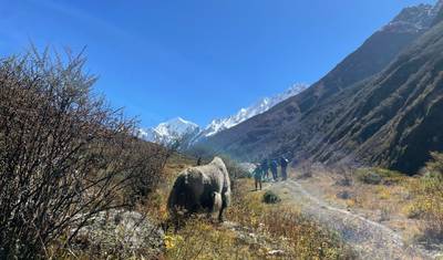 Trekking w Dolinie Langtang — 2