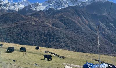 Trekking w Dolinie Langtang — 5