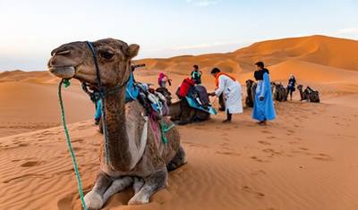 Trekking de Camelo em Marrocos | 6 Dias de M’Hamid a Erg Zahar (ida e volta) — 4
