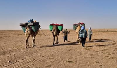 Trekking de Camelo em Marrocos | 6 Dias de M’Hamid a Erg Zahar (ida e volta) — 5