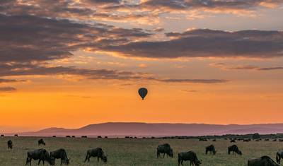 Safari de 6 Dias: Os Cinco Grandes em Selous e Ruaha — 2