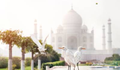 Excursão de 2 Dias ao Taj Mahal em Agra ao Nascer e Pôr do Sol, Partindo de Deli — 3