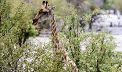9日間 キャニオン、砂丘、野生動物 * 火曜日出発 — 5