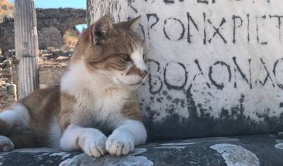 イスタンブールから海岸へ：トルコの美しい風景を巡る8日間の冒険 — 3
