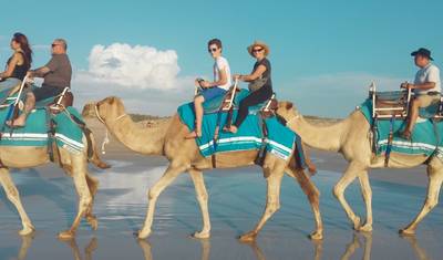10 Day Royal Rajasthan Tour with Taj Mahal — 2