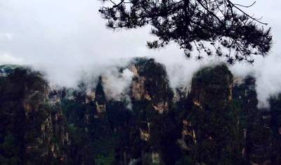 Excursão de 3 Dias a Zhangjiajie saindo de Xangai com Voo de Ida e Volta — 2