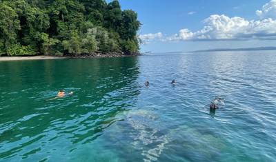 8-Day Lodge-to-Lodge Golfo Dulce Sea Kayaking Trip — 4