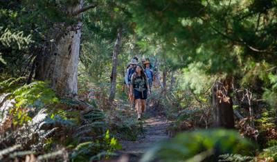 Freycinet Experience Walk — 5