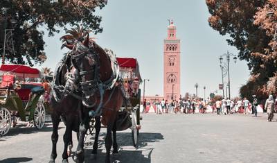 13 Dias - Cores de Marrocos — 3