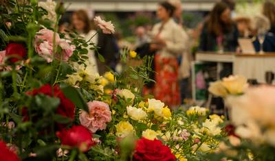 Chelsea Flower Show (Sentido Oeste) 2027 — 5