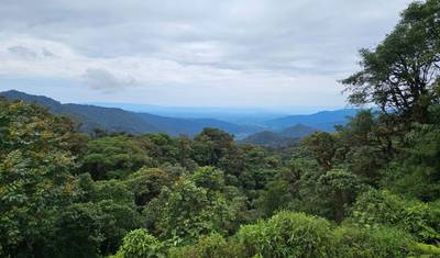 Tour de Aventura de 4 Dias pela Floresta Amazônica e Baños – A Melhor Experiência na Natureza do Equador — 3