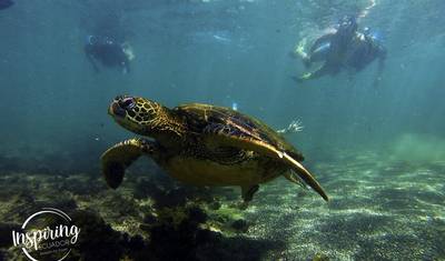 Galápagos Econômico em 6 Dias — 4