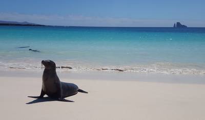 Galápagos Econômico em 6 Dias — 5