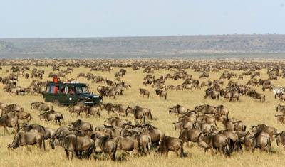 Safari de 3 Dias na Reserva de Caça Masai Mara, Quênia — 3